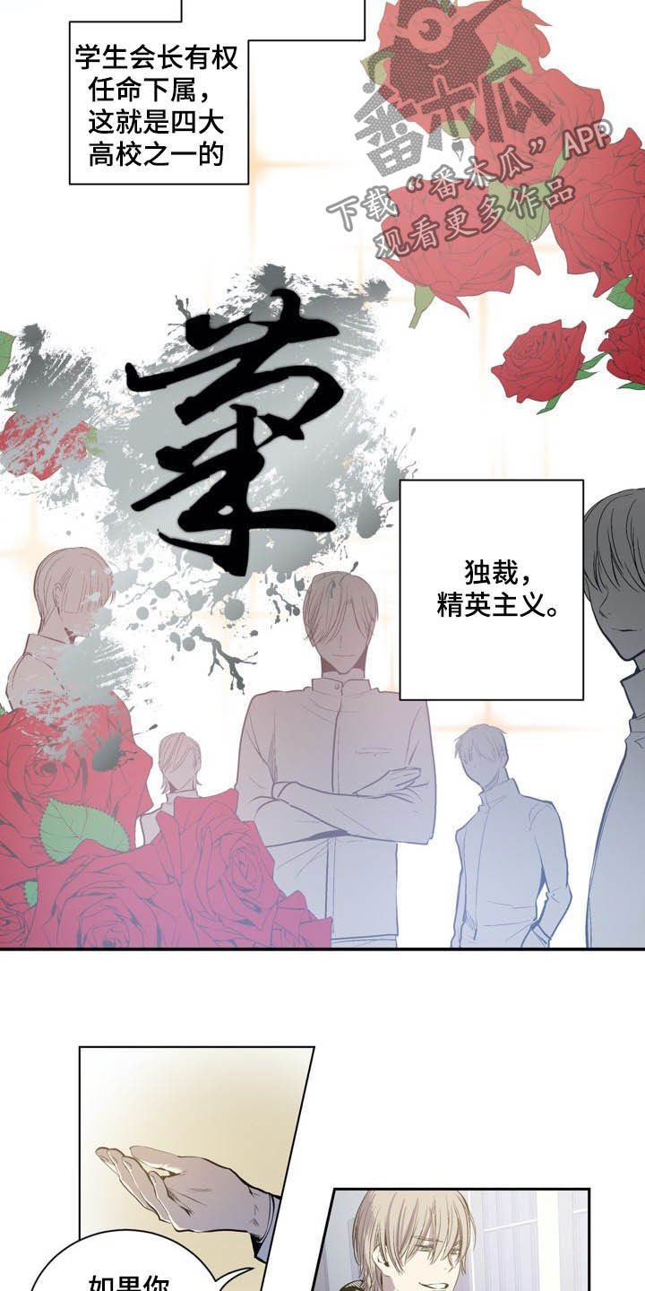 第65章：犯规