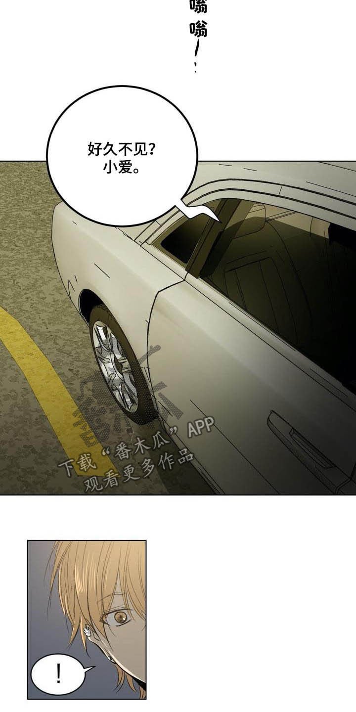 第81章：【第二季】跟踪