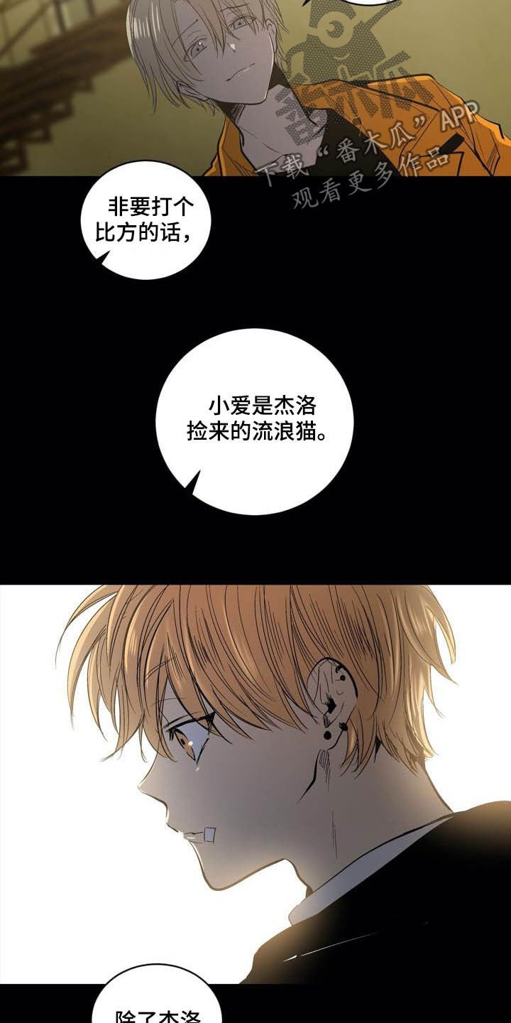 第90章：【第二季】朋友