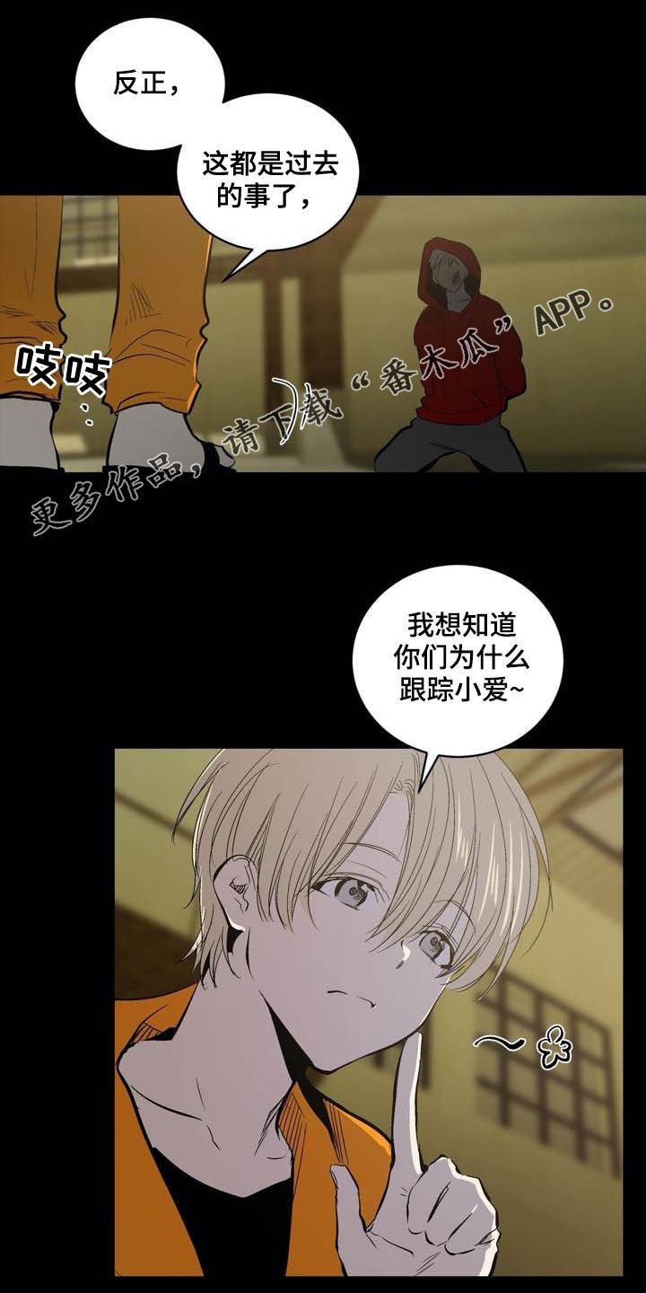 第91章：【第二季】亲自确认