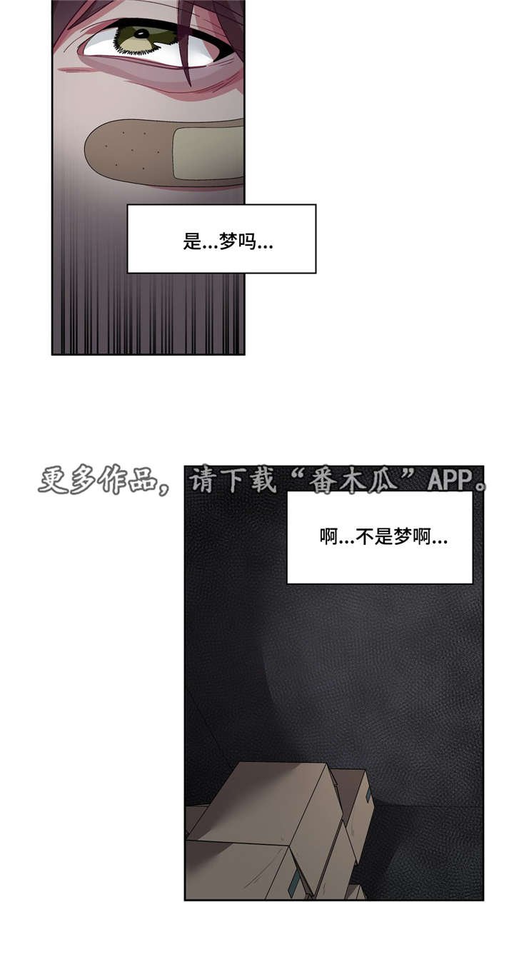 第24章：不是梦啊