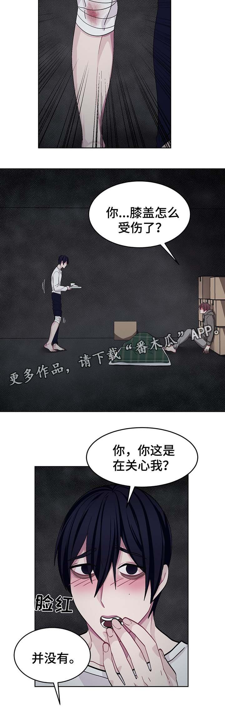 第46章：处理CD