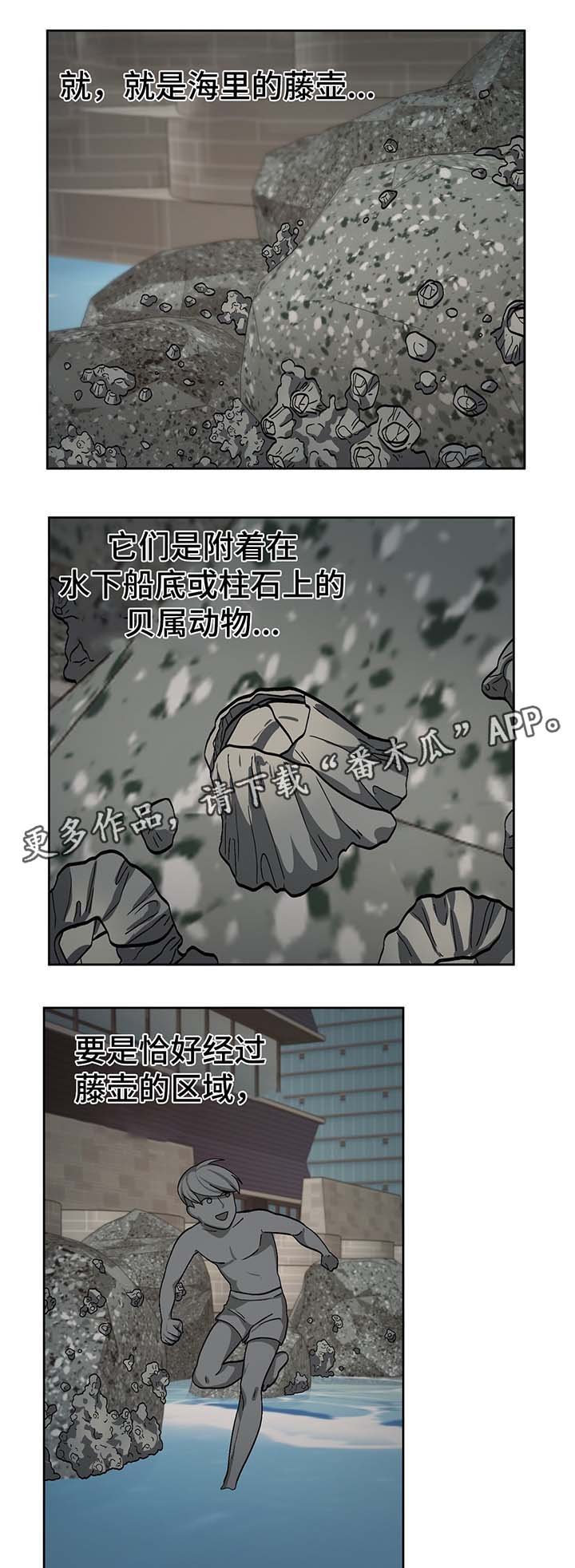 第46章：处理CD