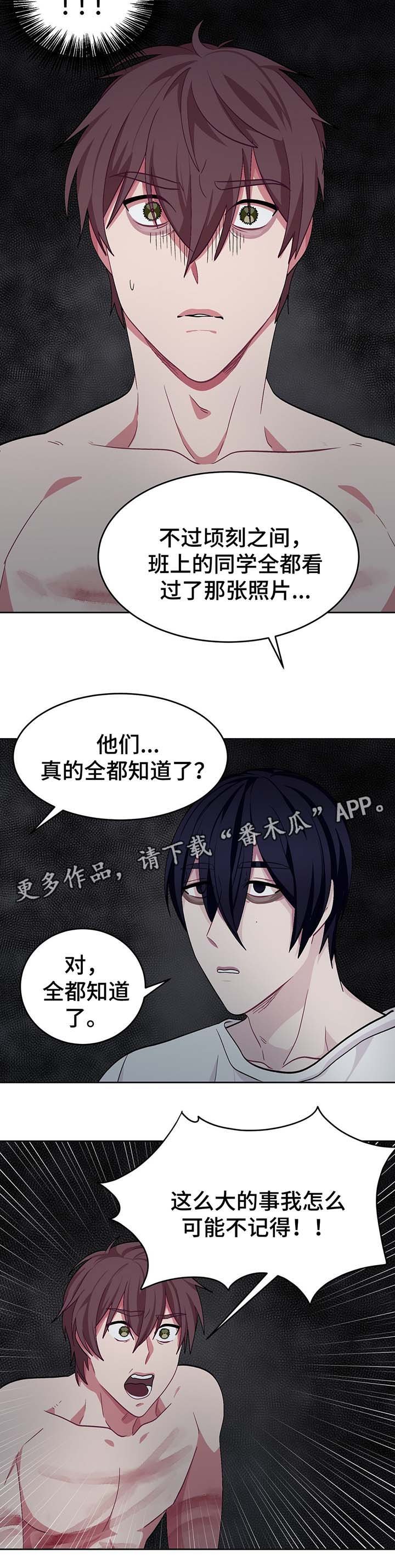 第53章：我的决心