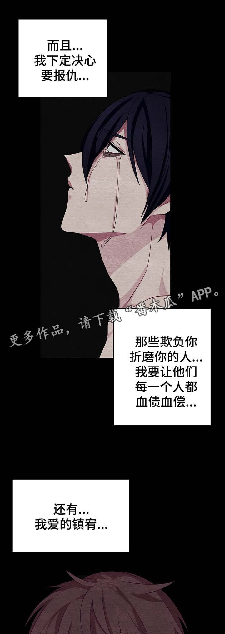 第53章：我的决心