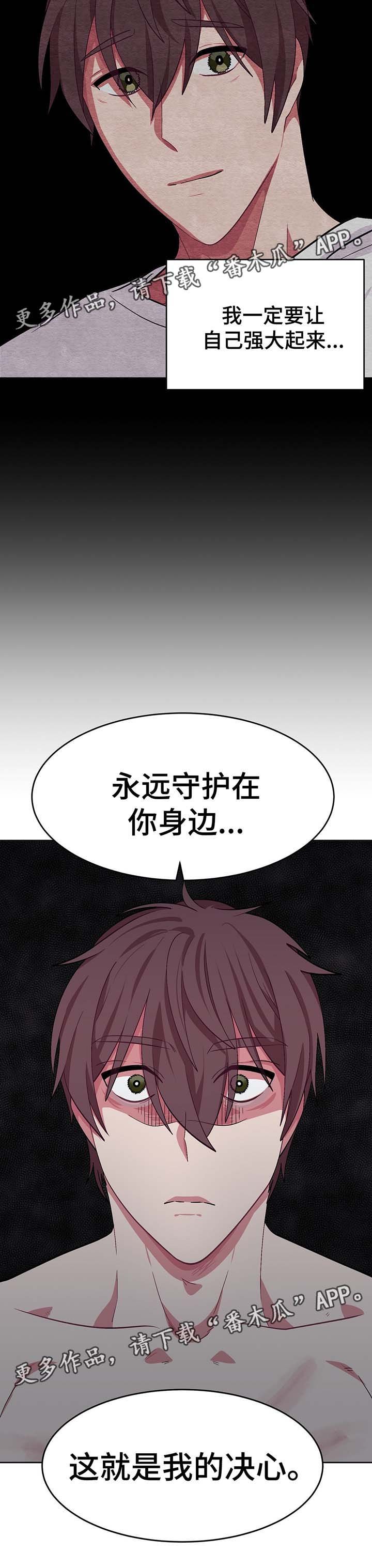 第53章：我的决心