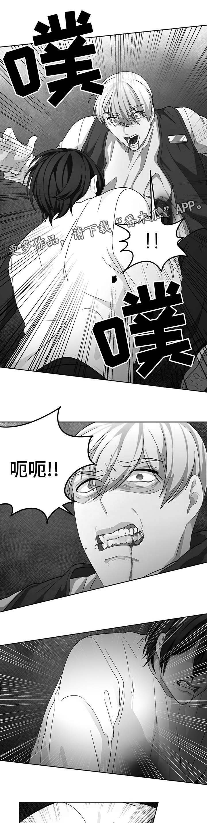 第58章：自相残杀