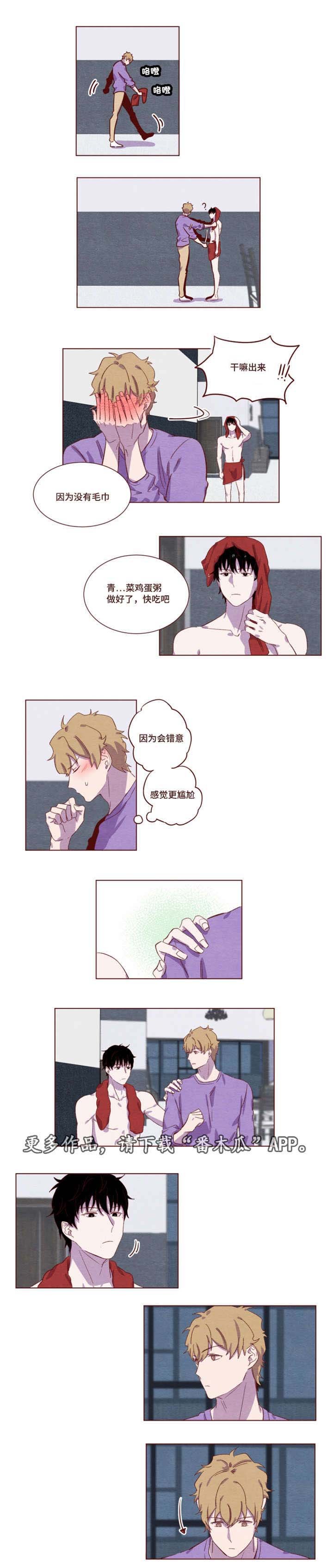 第11章：太喜欢了