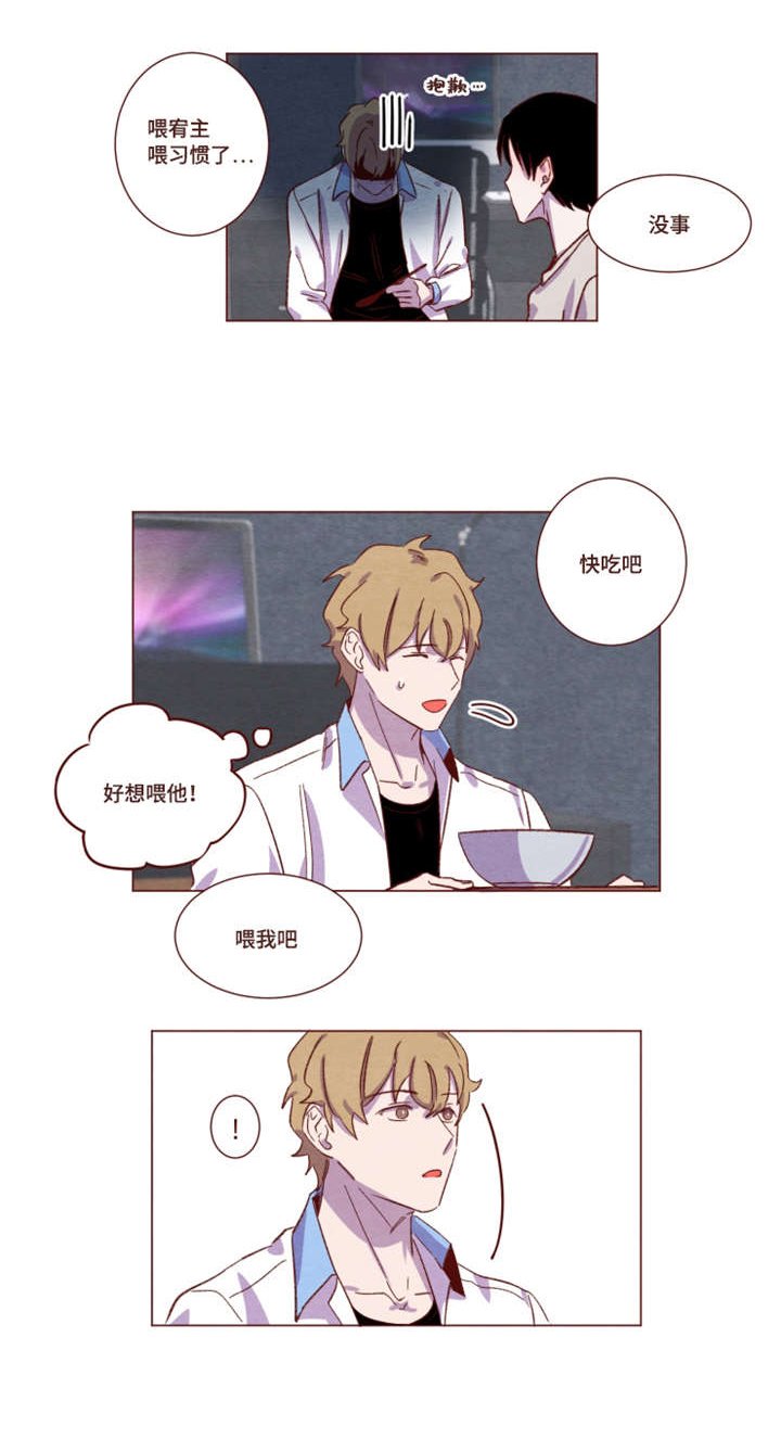 第16章：字面意思