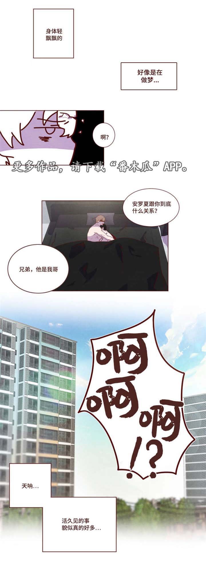 第19章：告白