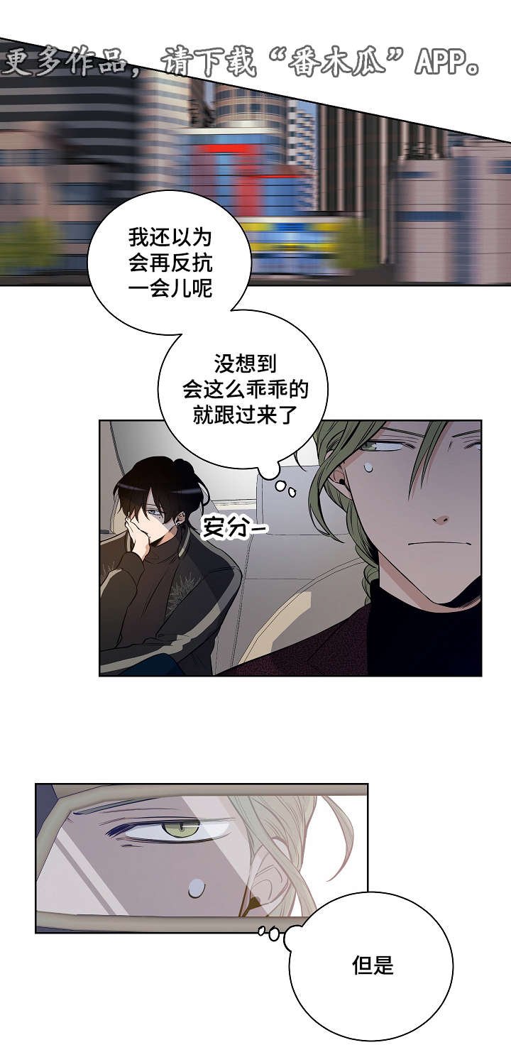 第15章：耀眼的我