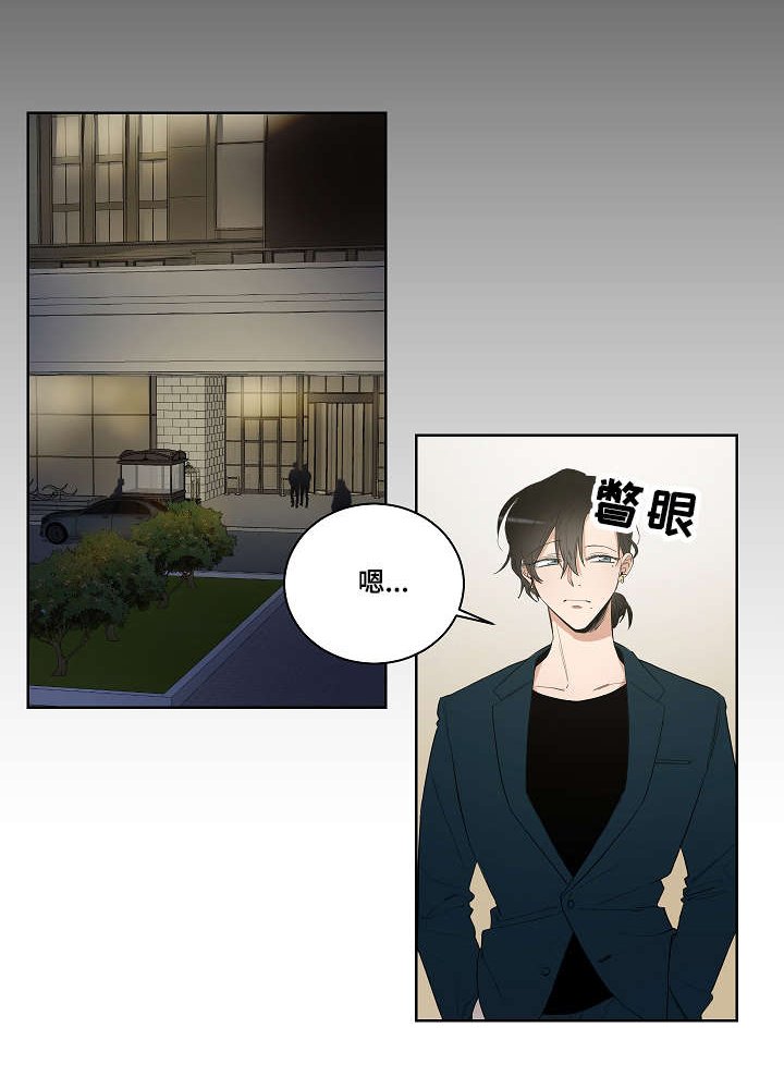 第21章：互相替代对方
