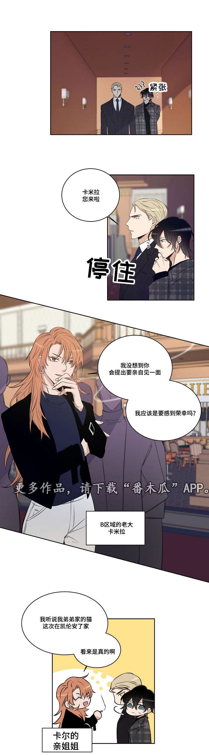 第28章：表白