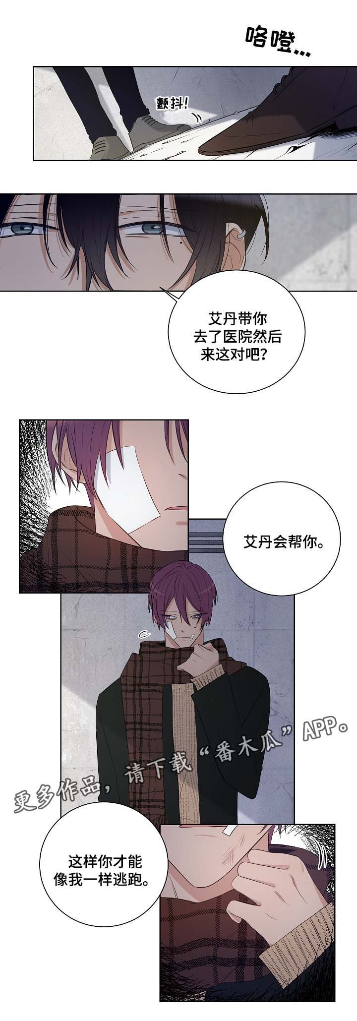 第33章：别再回来