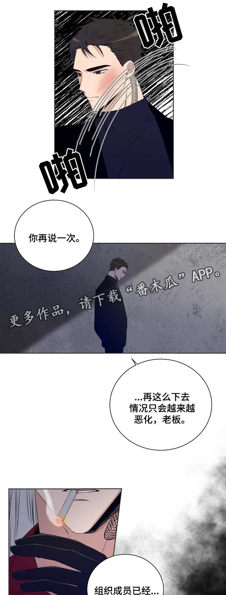第37章：是时候了