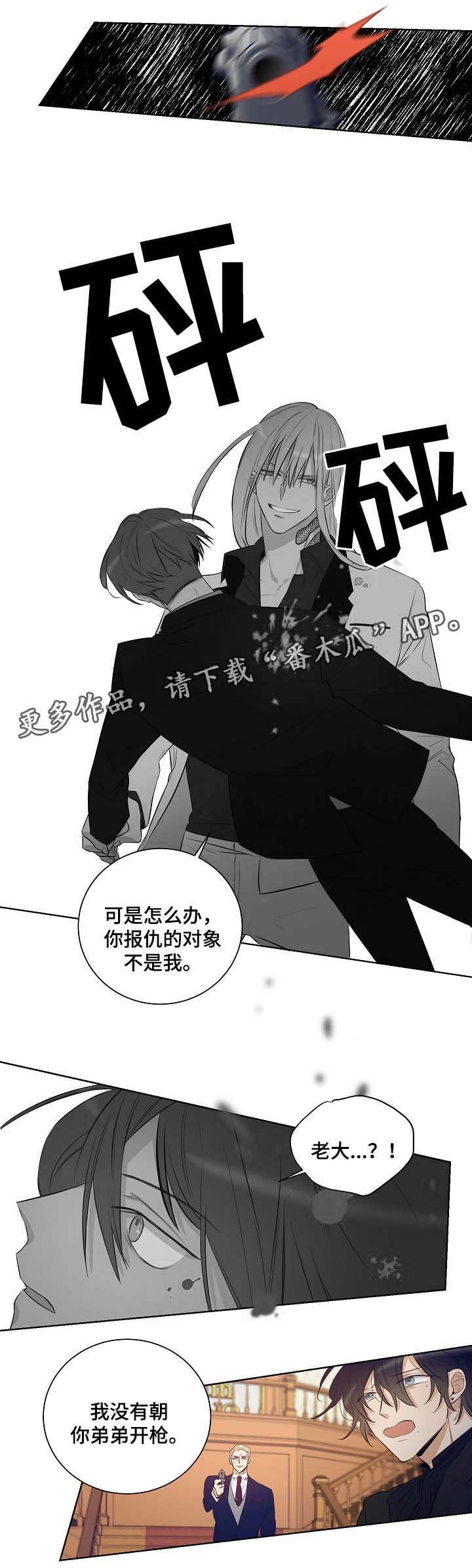 第44章：挡箭牌
