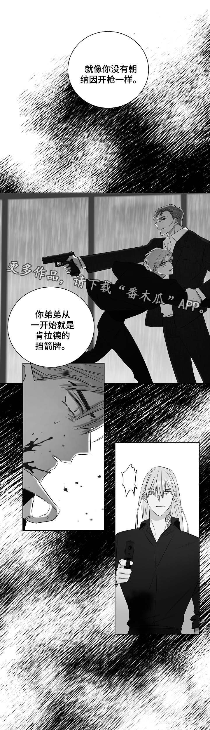 第44章：挡箭牌