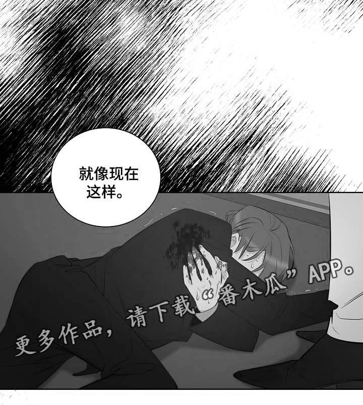 第44章：挡箭牌