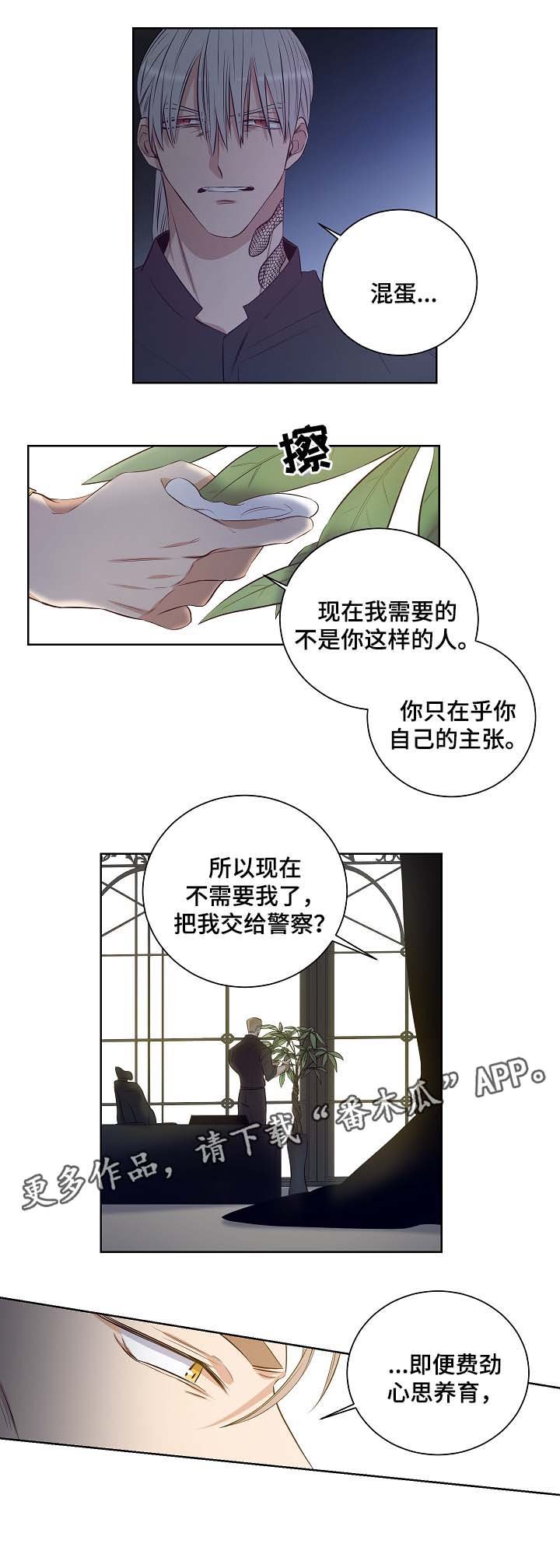 第46章：舍小求大