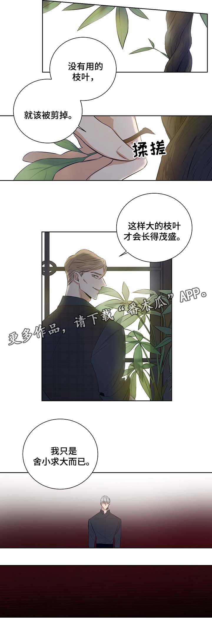 第46章：舍小求大