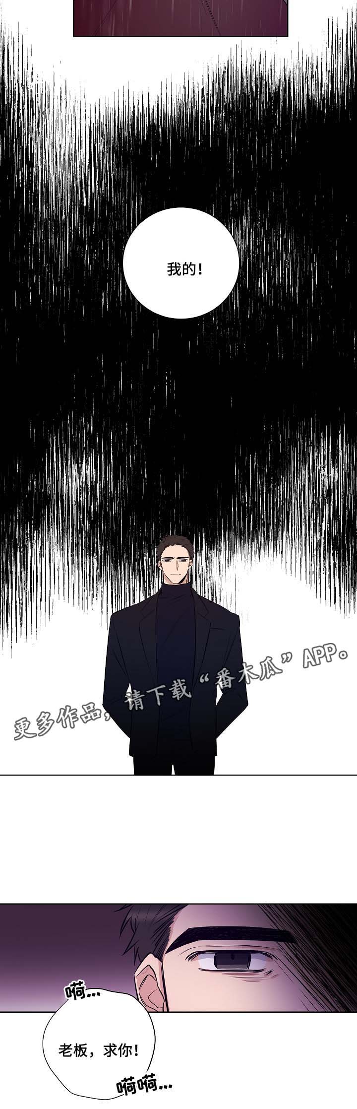 第46章：舍小求大
