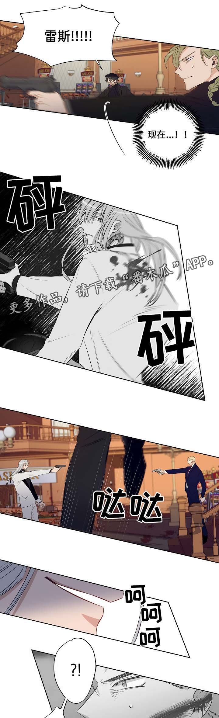 第47章：挡枪