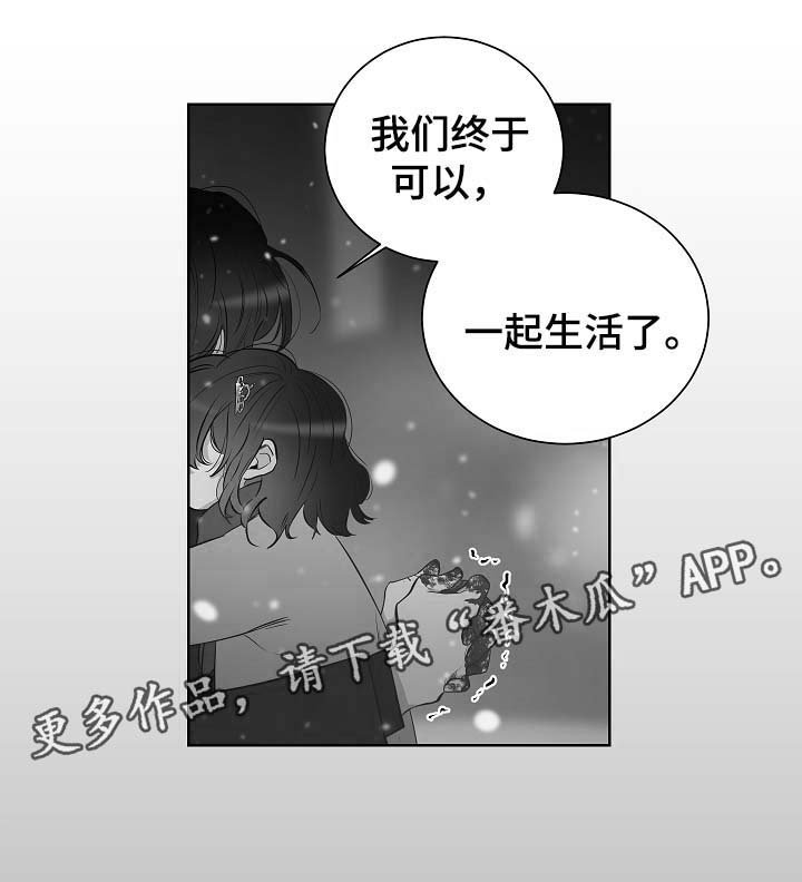第48章：尘埃落定