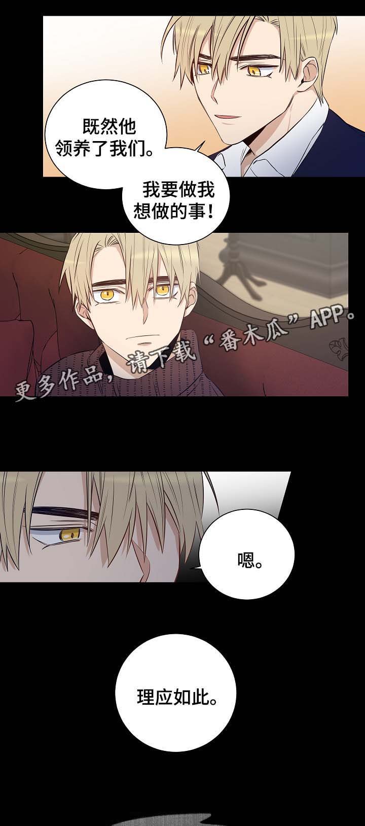 第48章：尘埃落定