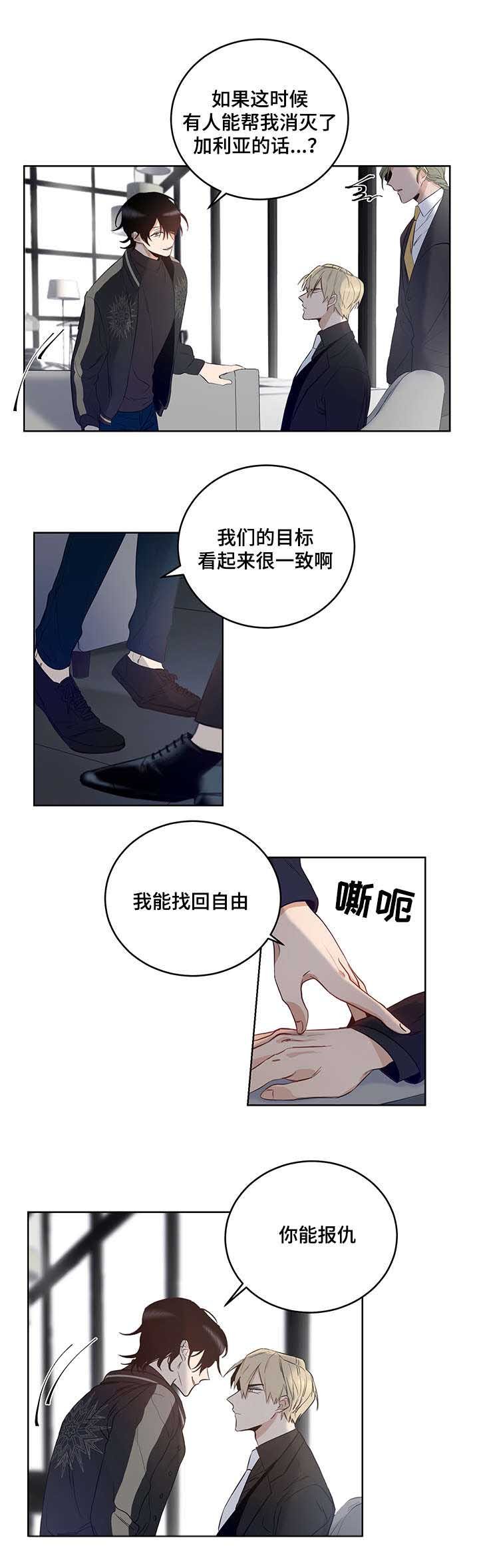 第5章：加利亚的情人