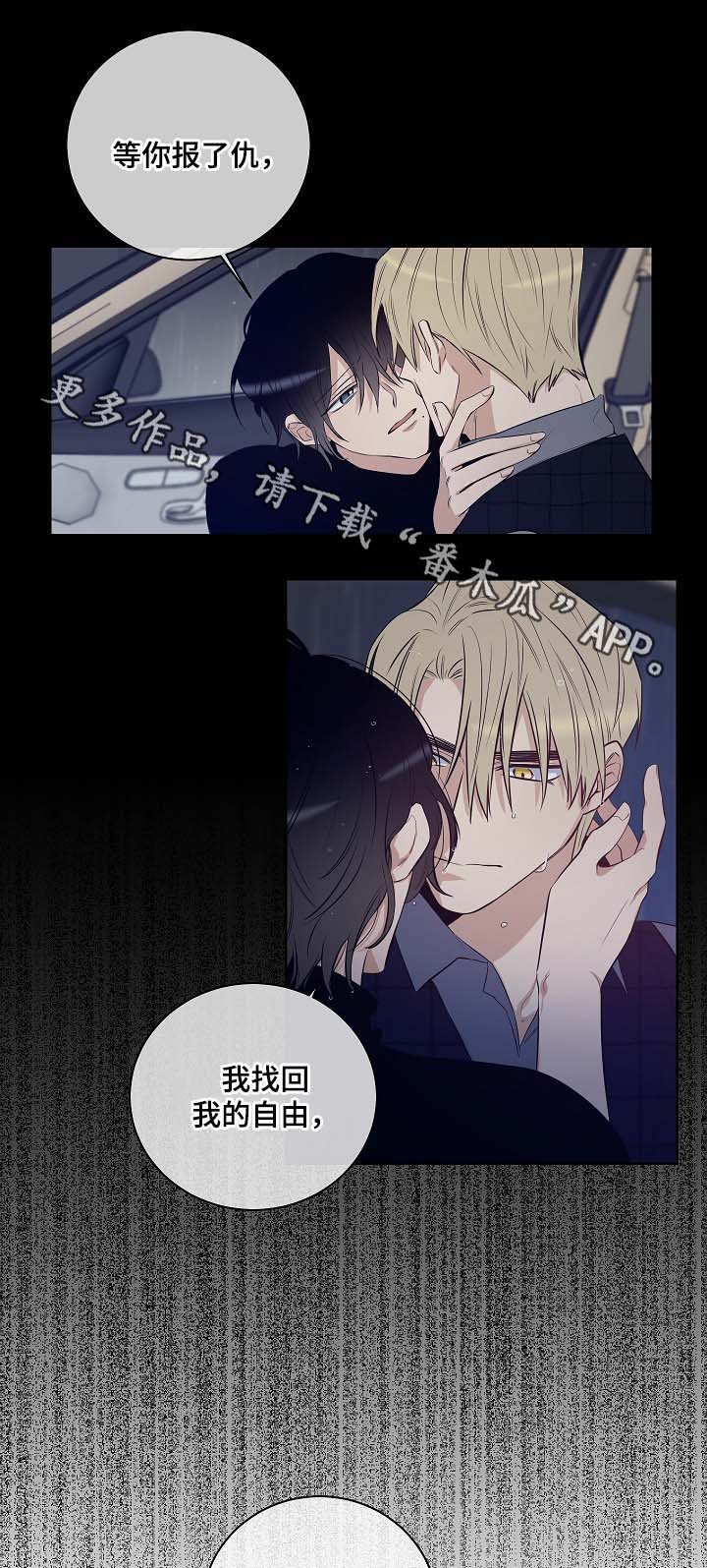 第52章：因为喜欢你