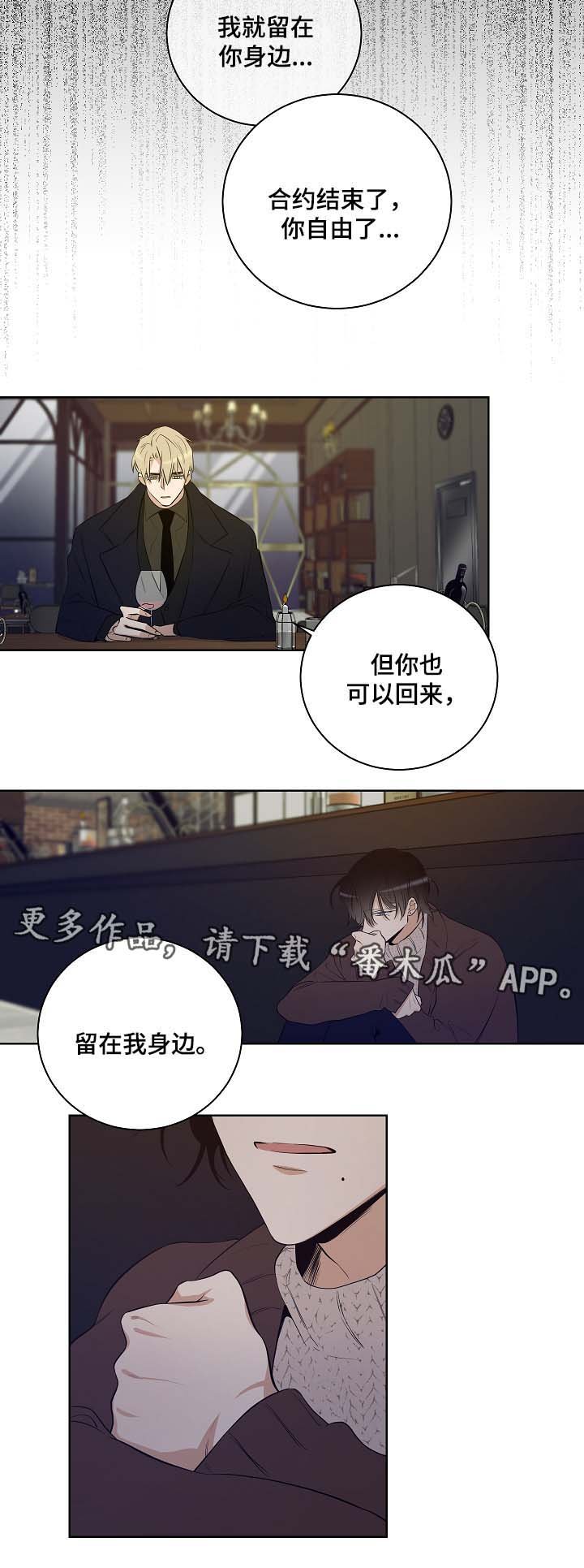第52章：因为喜欢你
