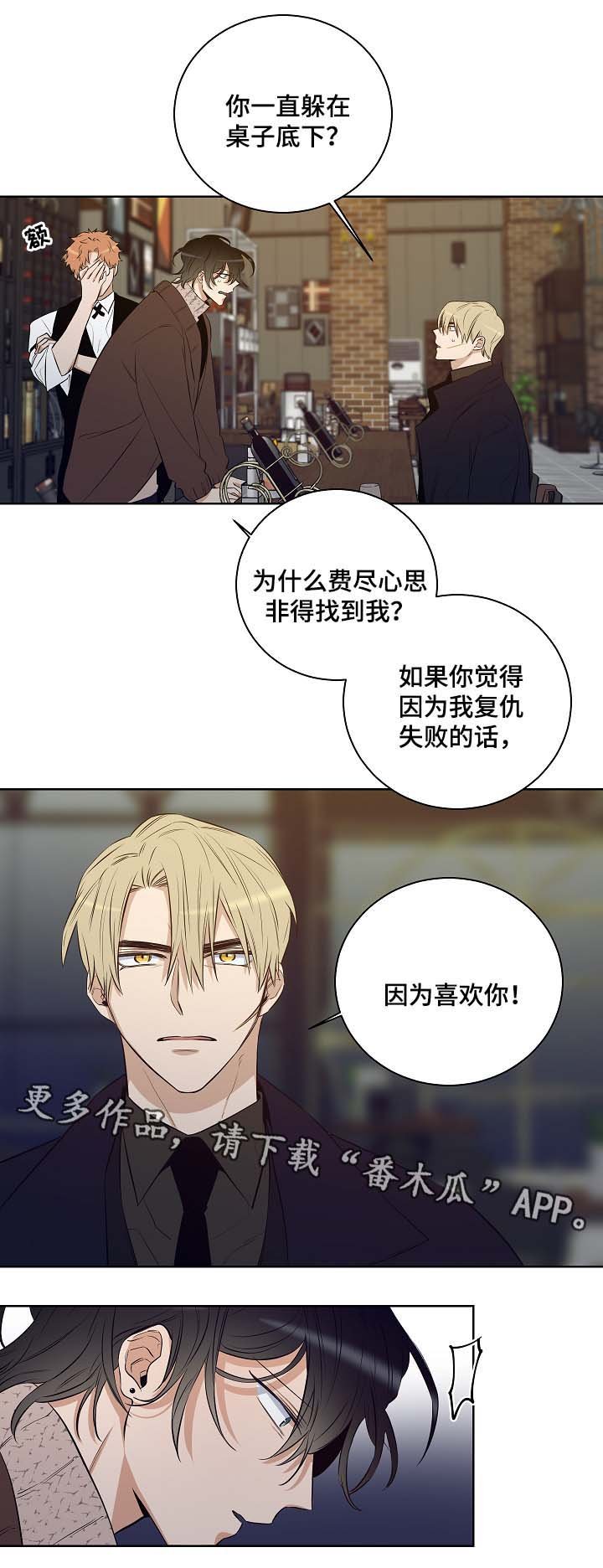 第52章：因为喜欢你