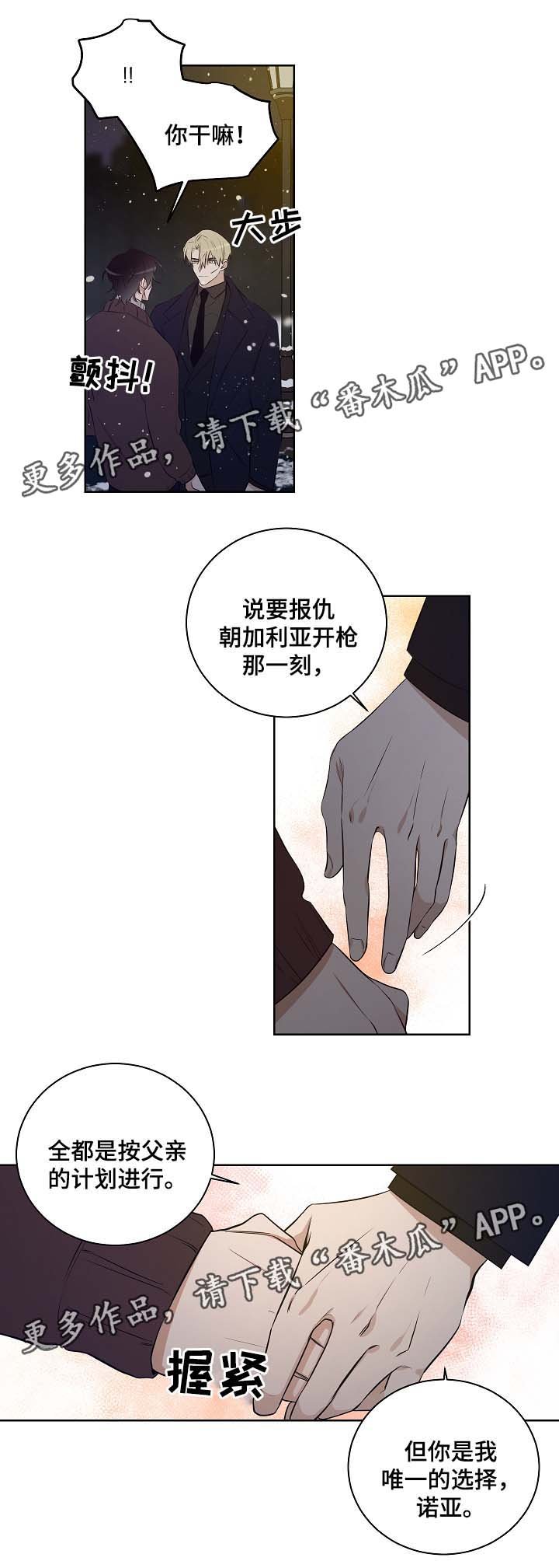 第52章：因为喜欢你