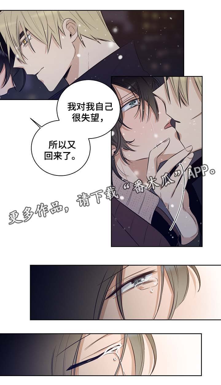 第53章：陷阱都市（完结）