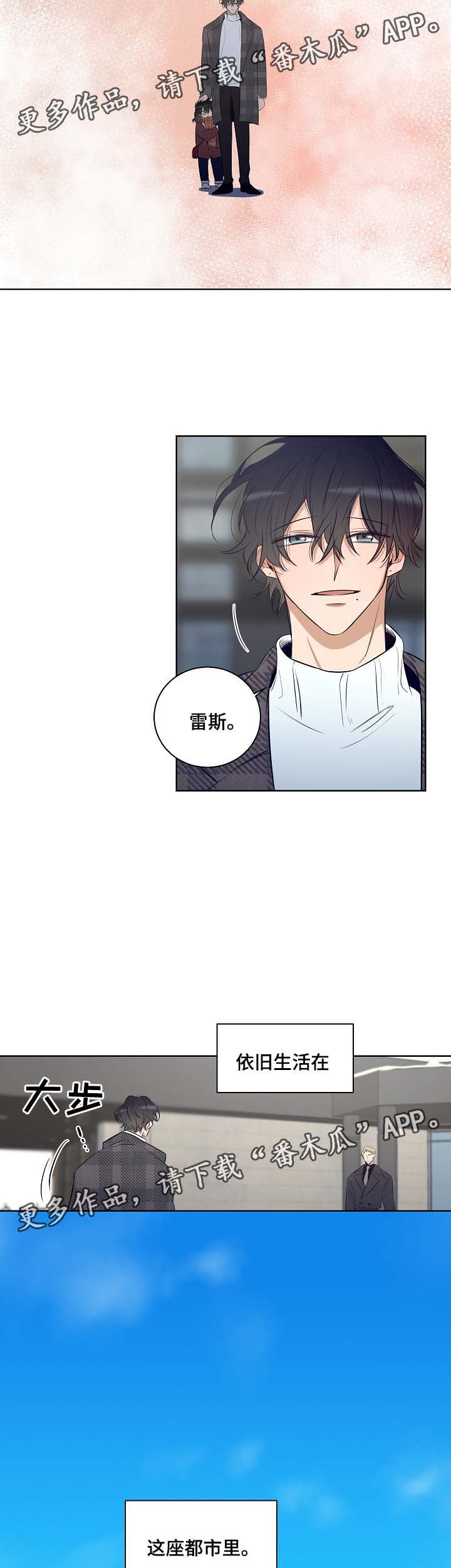 第53章：陷阱都市（完结）