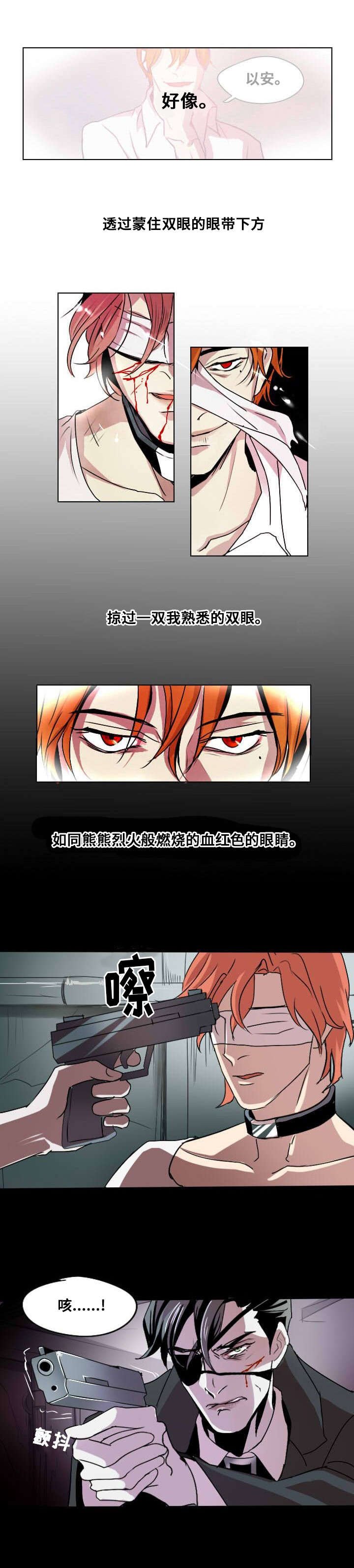 第1章：忠诚的盾