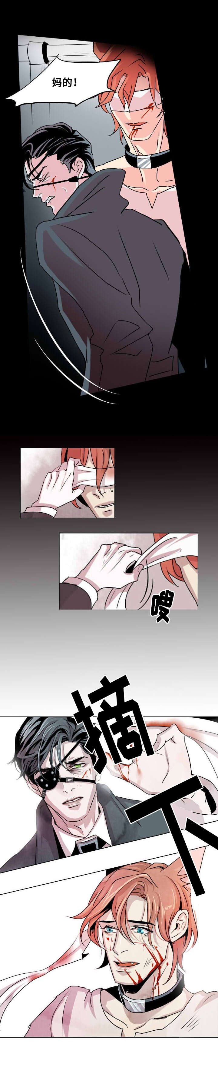 第1章：忠诚的盾