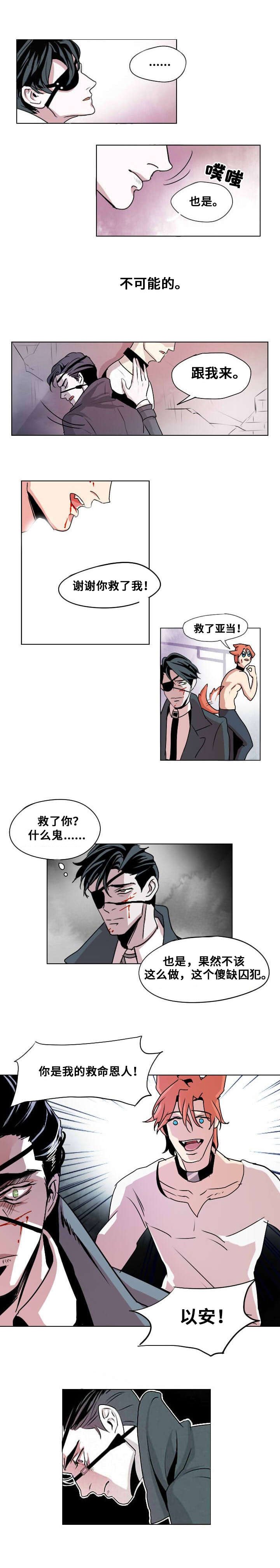 第1章：忠诚的盾