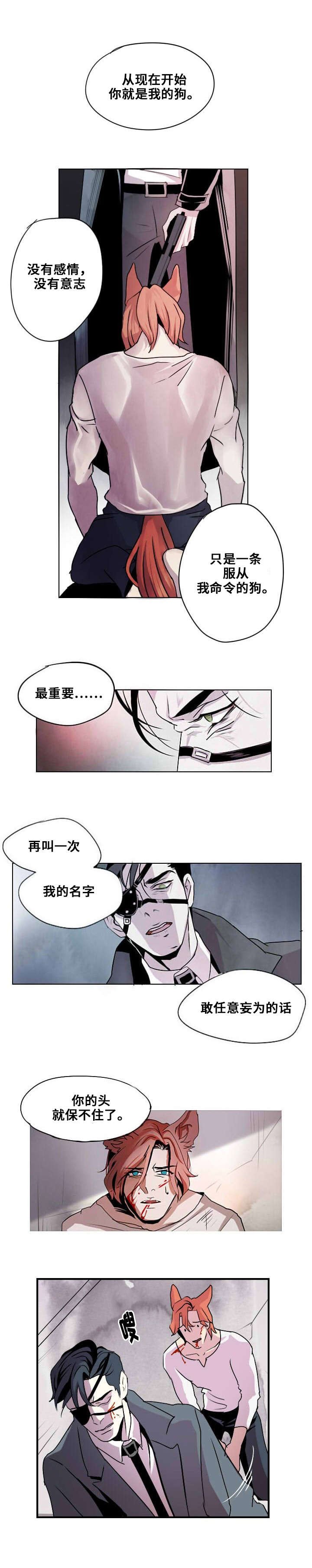 第1章：忠诚的盾