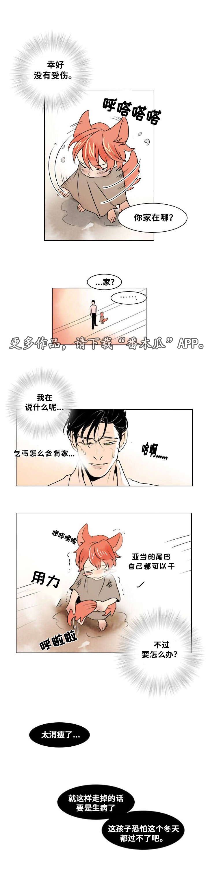第10章：第一次相遇