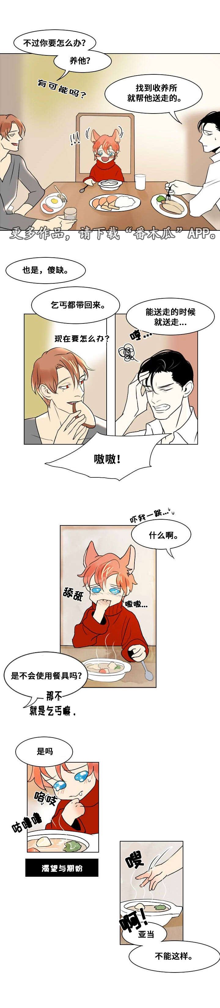 第10章：第一次相遇