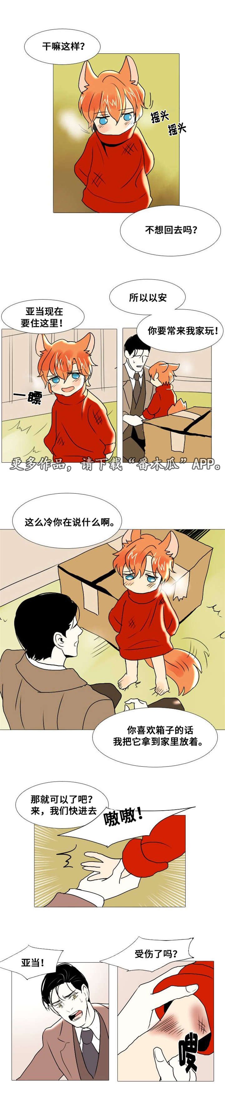 第12章：谎言