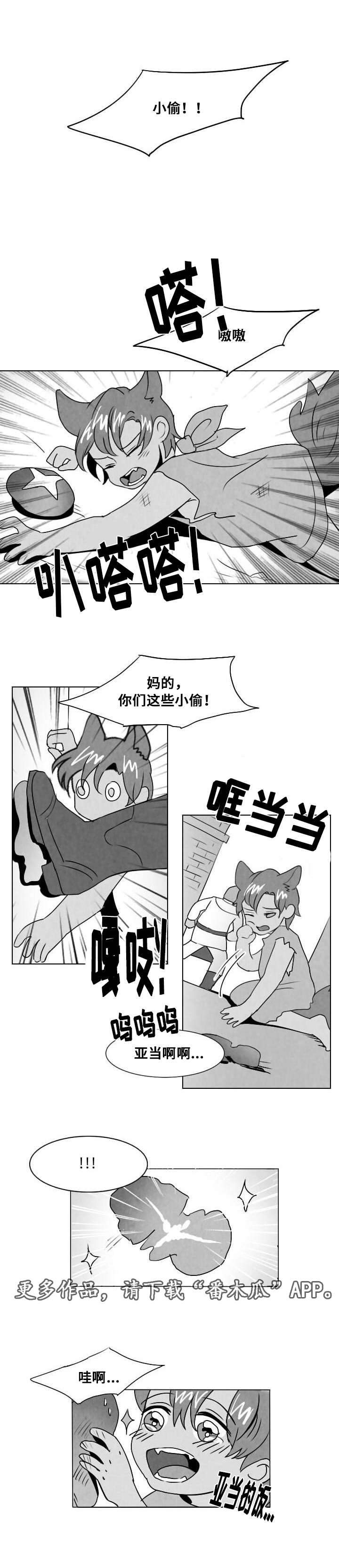 第12章：谎言