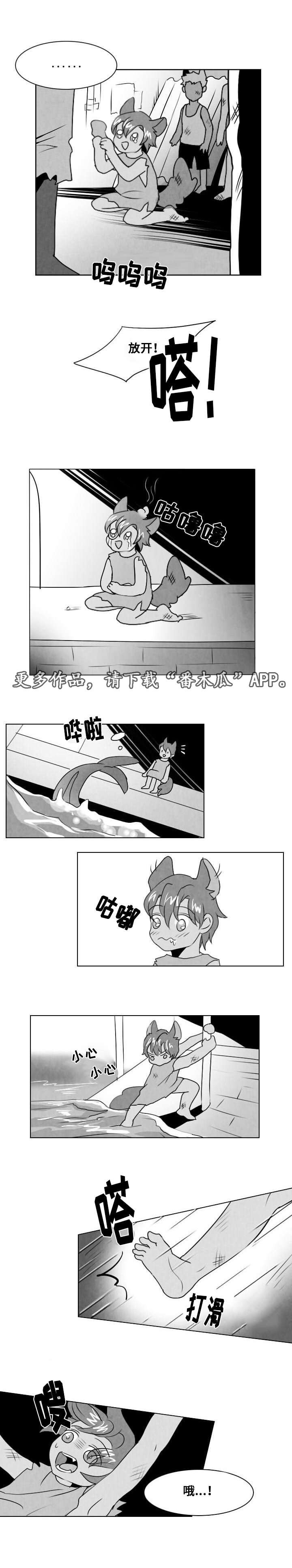 第12章：谎言