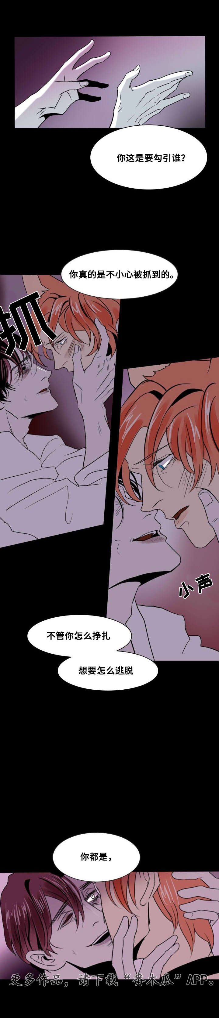 第17章：留下