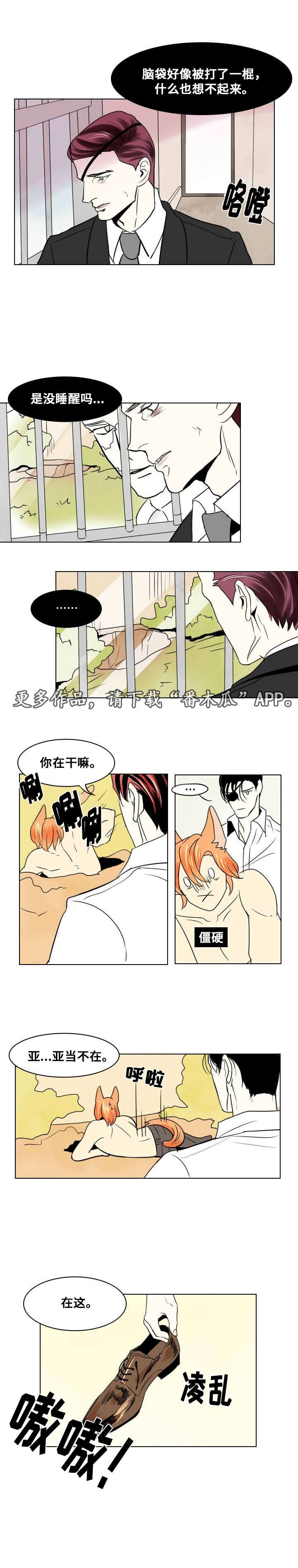 第17章：留下
