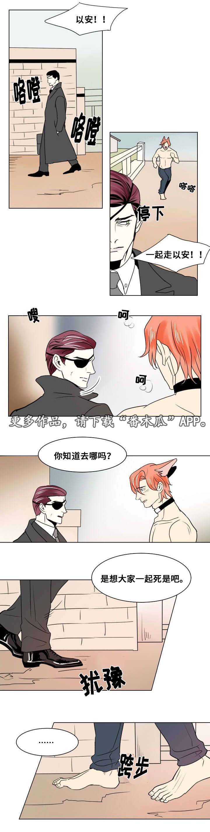 第18章：独自前行