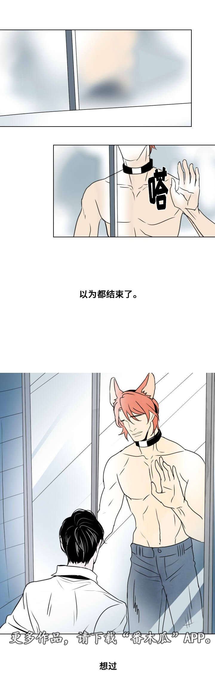 第19章：谈判