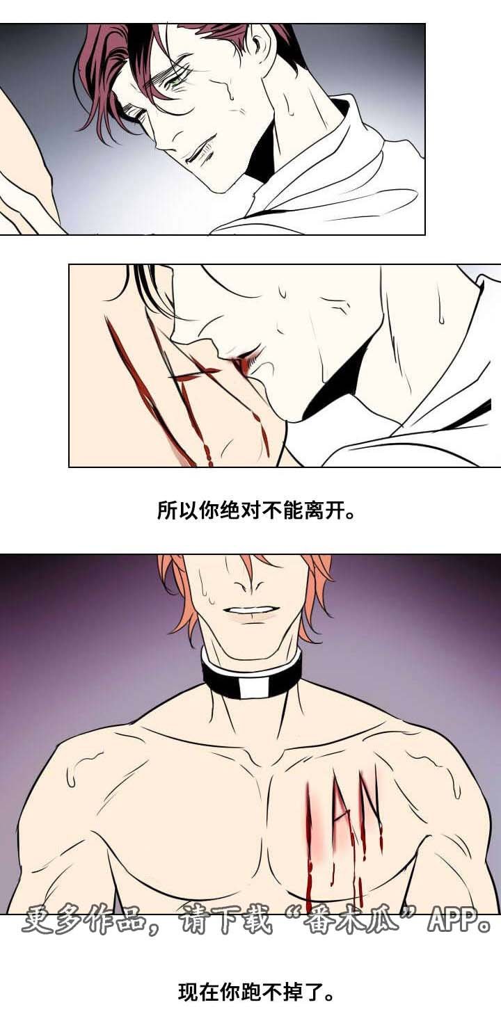 第20章：以安的刻印