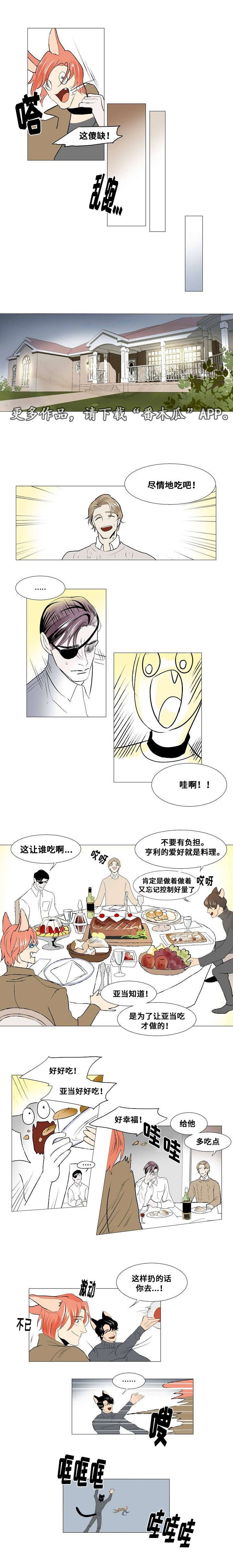 第21章：组织的往事